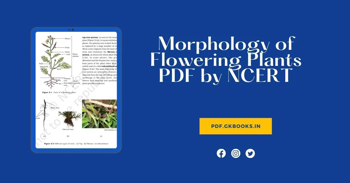 Morphology Of Flowering Plants PDF By NCERT